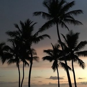 Meet your Posher, Mia